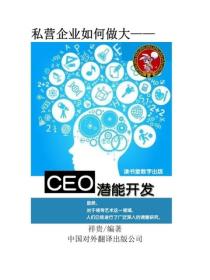 CEO潛能開發