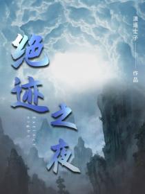 绝迹之夜