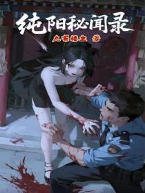 純陽秘聞錄
