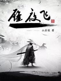 雁夜飛