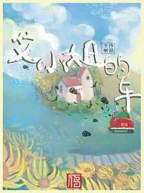 艾小姐的車