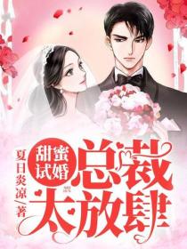 甜蜜試婚：總裁，太放肆