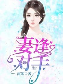 妻逢對手