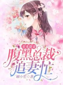 星光甜妻,腹黑總裁追妻忙