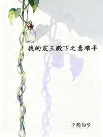 我的宸王殿下之意难平
