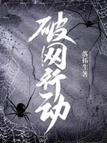 破網行動
