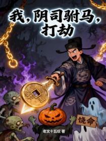 我，陰司駙馬，打劫