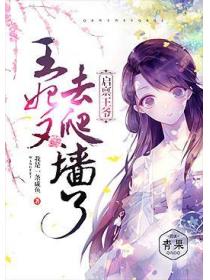 啟稟王爺：王妃又去爬牆了