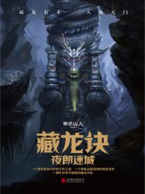 藏龙诀:夜郎迷城 申示山人