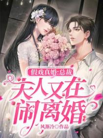 假戲真婚：總裁，夫人又在鬧離婚