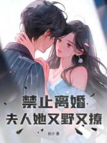 禁止離婚！夫人她又野又撩