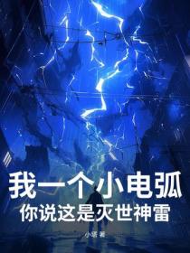 我一個小電弧，你說這是滅世神雷？