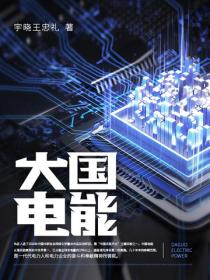 大國電能