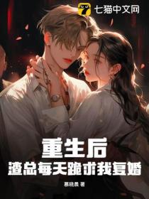 重生後，渣總每天跪求我複婚
