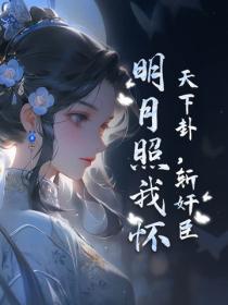 天下卦，斬奸臣，明月照我懷