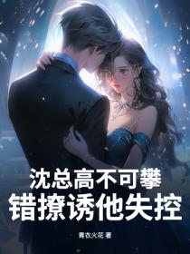 沈總高不可攀，錯撩誘他失控