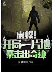 開局一片地暴擊出奇跡