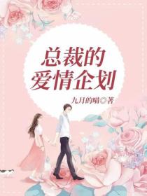 總裁的愛情企劃