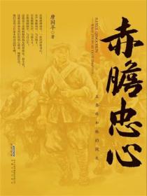 赤膽忠心——王金林和他的戰友