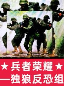 兵者榮耀：獨狼反恐組