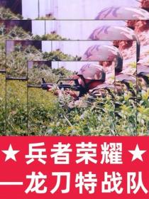 兵者榮耀：龍刀特戰隊
