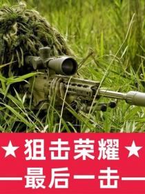 狙擊榮耀：最後一擊