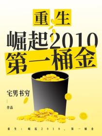 重生：崛起2010，第一桶金