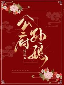 公府孫媳