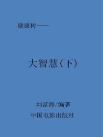 大智慧（下)