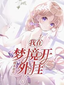 我在夢境開外掛