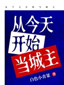 從今天開始當城主