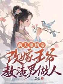 前夫要納妾，改嫁王爺教渣男做人