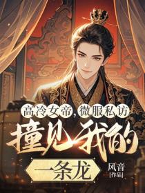 高冷女帝，微服私訪撞見我的一條龍