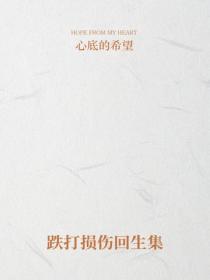 跌打損傷回生集