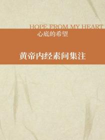 黃帝內經素問集注
