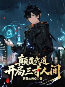 顛覆武道：開局三寸人間