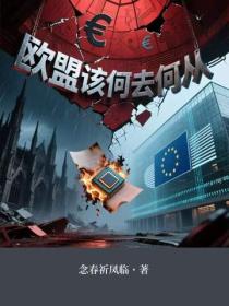 歐盟該何去何從
