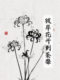 彼岸花開到荼蘼