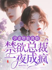 孕妻墮胎離婚，禁欲總裁一夜成瘋！