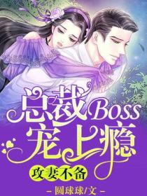 攻妻不備：總裁BOSS寵上癮