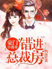 豪門小逃妻：錯進總裁房