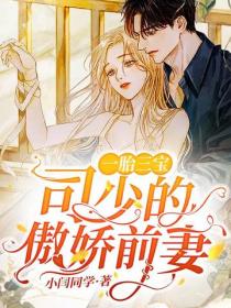 一胎三寶：司少的傲嬌前妻