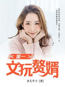 第一文玩贅婿