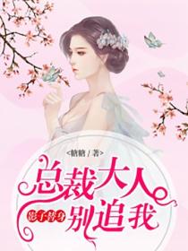 影子替身：總裁大人別追我