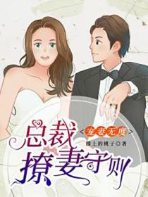 寵妻無度：總裁撩妻守則