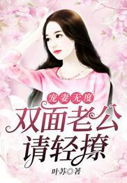 寵妻無度：雙麵老公請輕撩