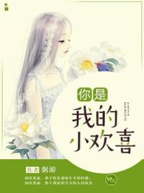 你是我的小歡喜