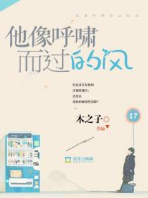 他像呼嘯而過的風