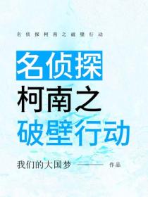 名偵探柯南之破壁行動