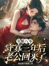 寵婚八零，守寡三年後老公回來了